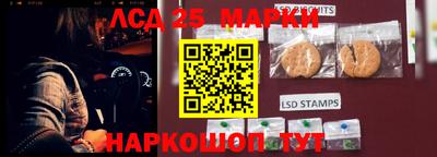 шишки Ивантеевка