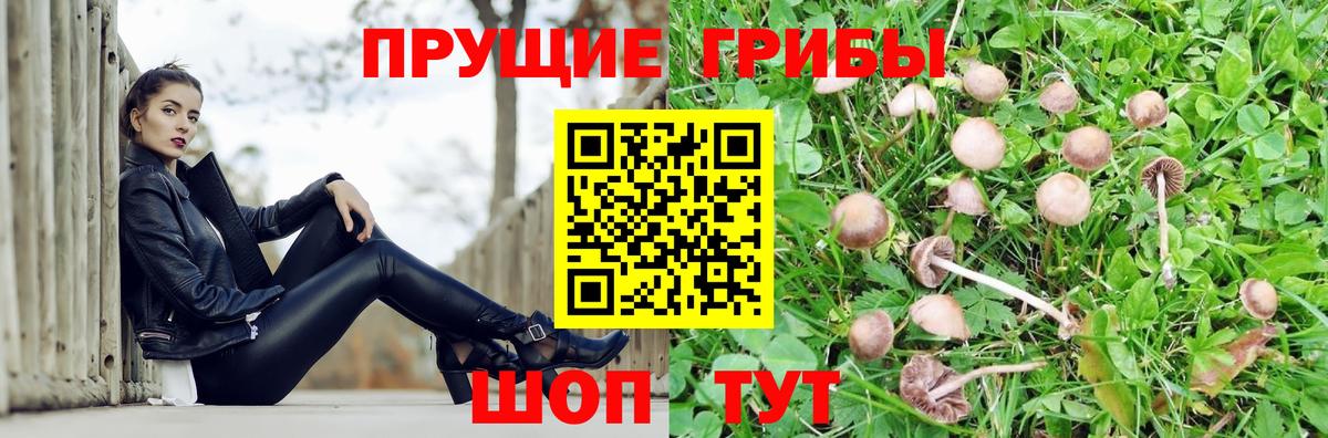 Сафоново  Псилоцибиновые грибы MAGIC MUSHROOMS  Вход с VPN  Галлюциногенные грибы GOLDEN TEACHER 