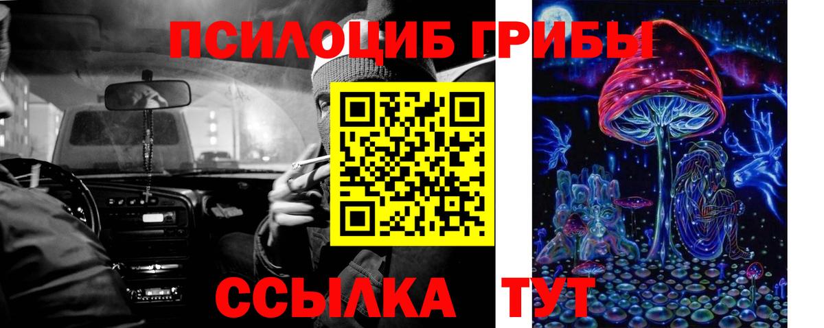 Псилоцибиновые грибы ЛСД Сафоново